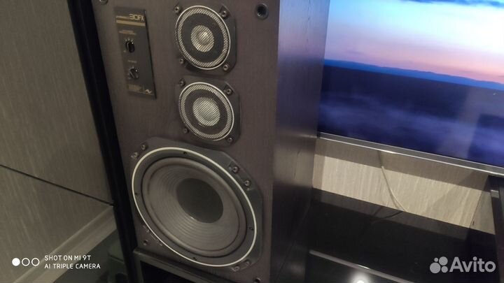 Акустическая система victor Zero 30 fx