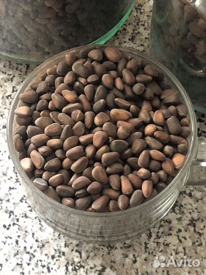 Продам кедровый орех