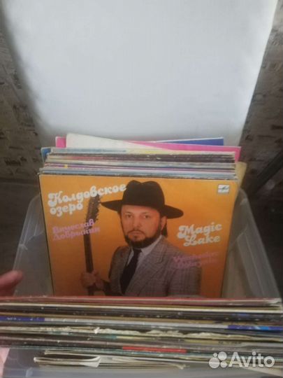 Виниловые пластинки