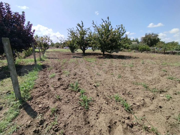 Участок 13 сот. (ИЖС)