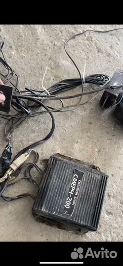 СГУ элина смерч