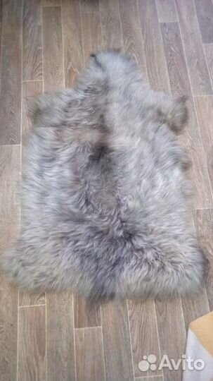 Продам овечьи шкуры