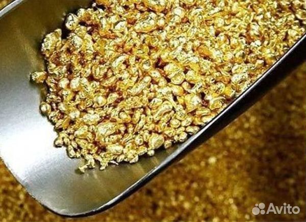 Золотодобывающий карьер с лицензией