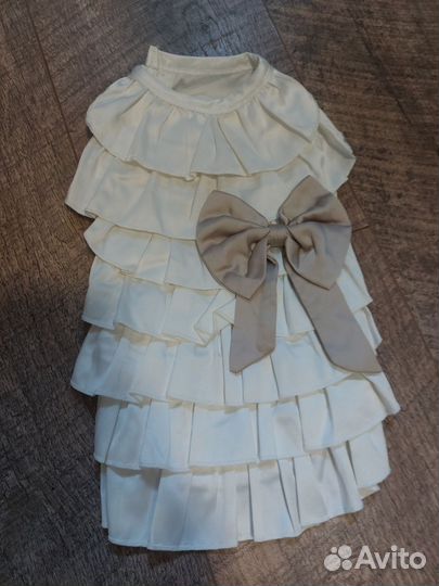 Одежда для собак