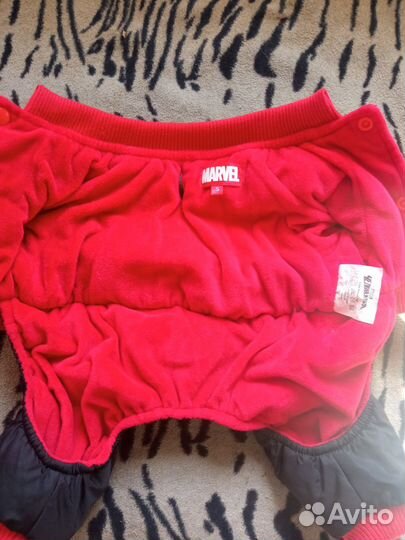 Костюм для йорка