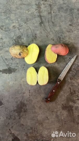 Картофель с доставкой