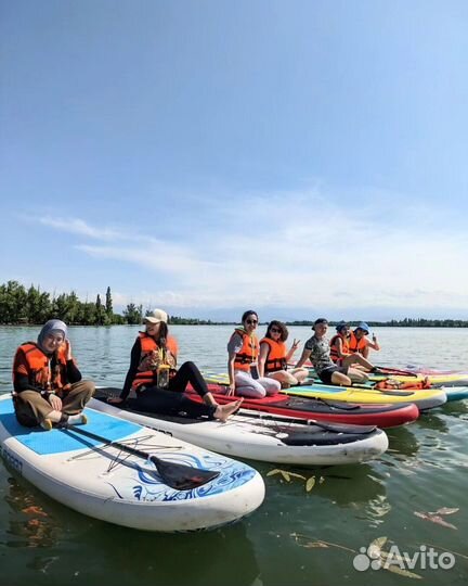 Sup board оптом и в розницу