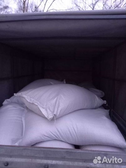 Пшеница, ячмень, овес, кукуруза, горох,семечки