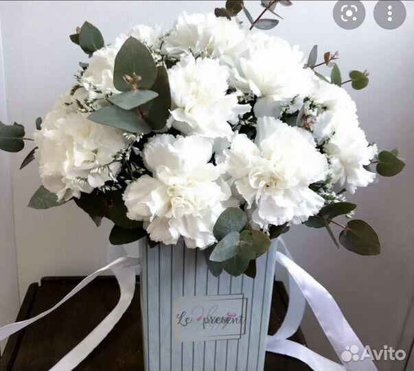 Розовые белые гвоздики