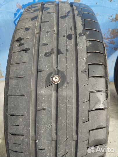 Continental PremiumContact 6 195/65 R15 91H