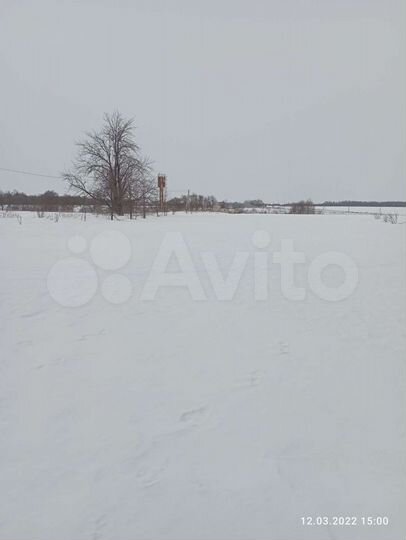 Участок 41 сот. (ИЖС)