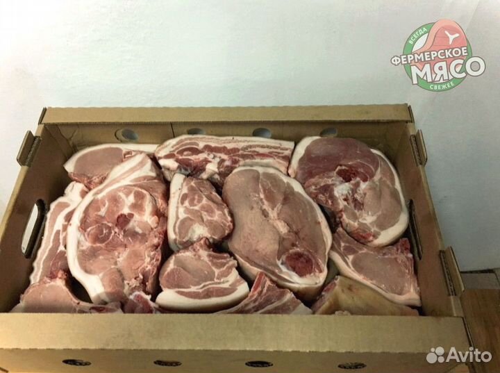 Мясо свинина