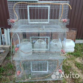 KletkiMsk.ru клетки для птицы и кроликов
