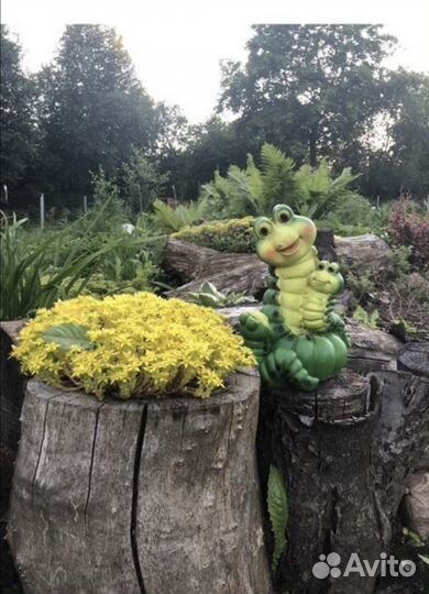 Почвопокровники