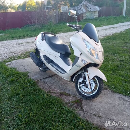 Макси скутер nexus
