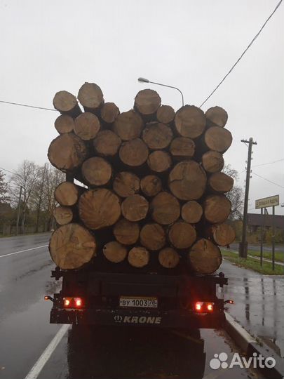 Лес кгруляк опт