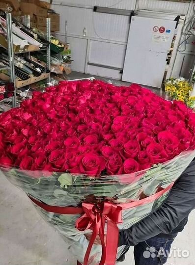 Длинные высокие розы 110 150 160 180 200 см