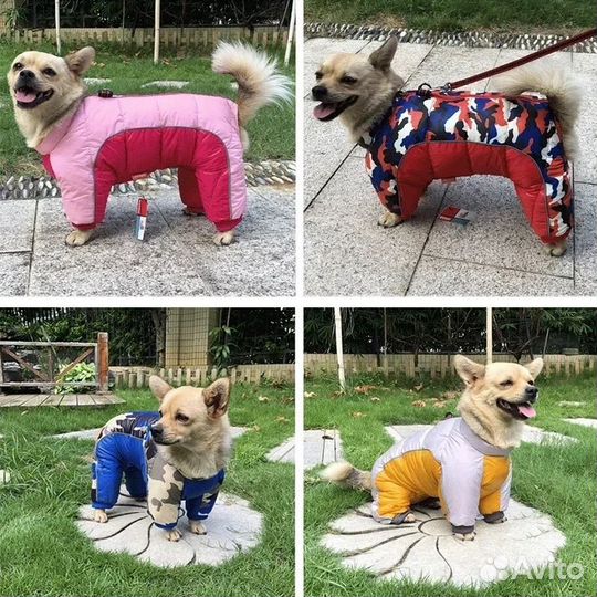 Комбинезон для собаки