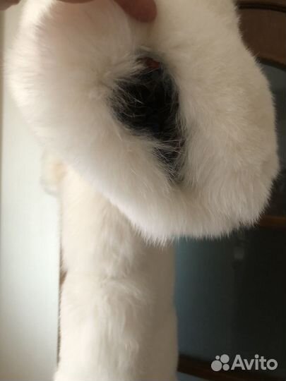 Шуба натуральная песец