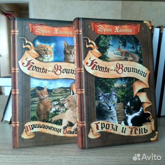 Коллекция книг Коты-воители