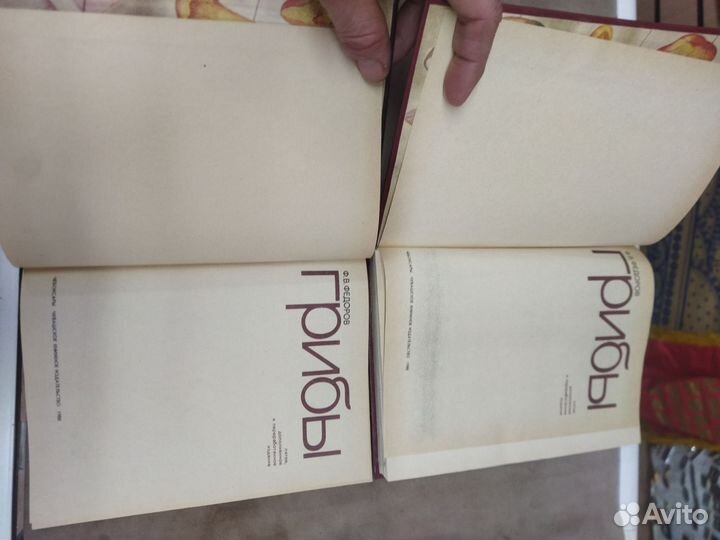 Книга грибы