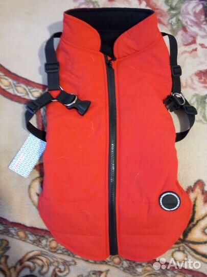 Одежда для собак