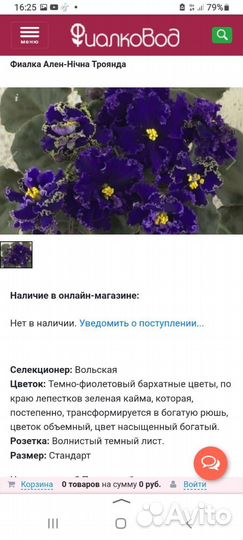 Детки сортовых фиалок