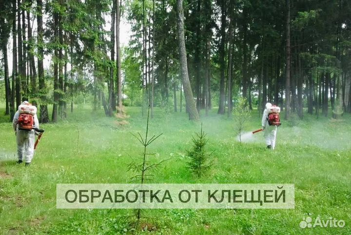 Уничтожение Обработка от Клещей, Комаров, Короеда