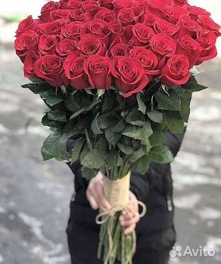 Розы гиганты 140 150 160 170 180 200