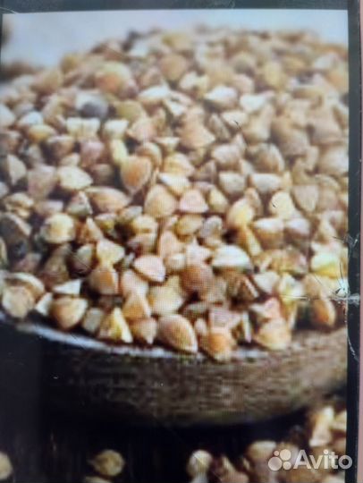 Гречка оптом