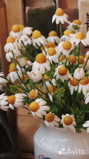 Букет ромашек ручная работа