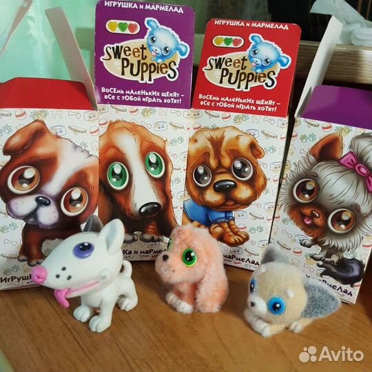 Коллекция собачки и котята