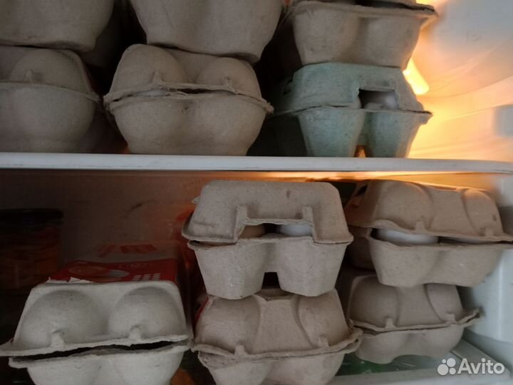 Домашние куриные яйца