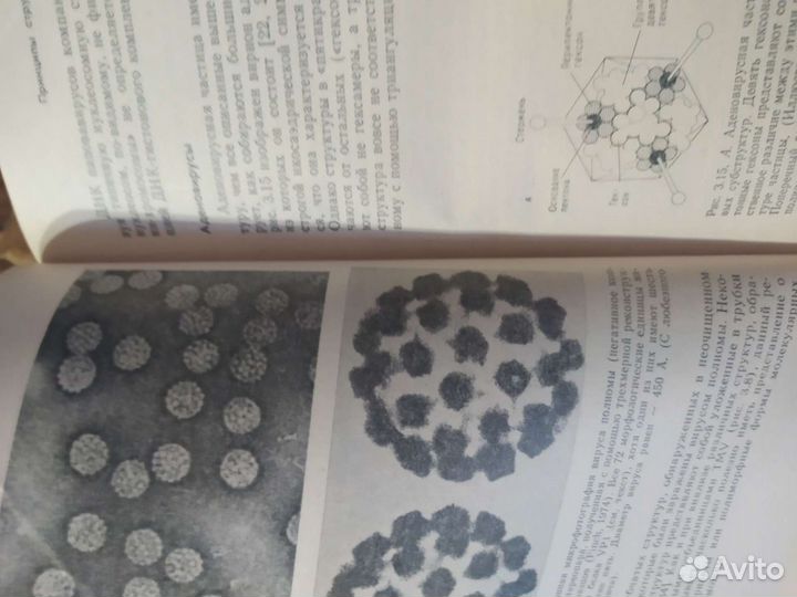 Вирусология в 3 томах - фундаментальное пособие