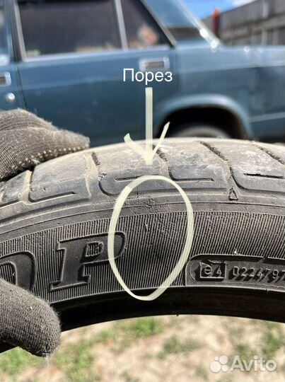 Dunlop All Season Maxx AS1 245/40 R19