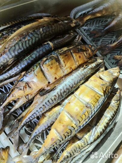 Рыба горячего копчения