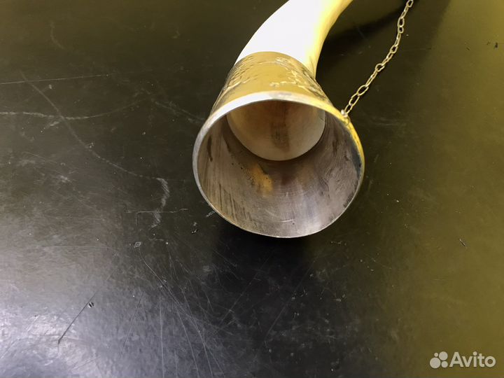 Z.5969 Кубок-рог изобилия