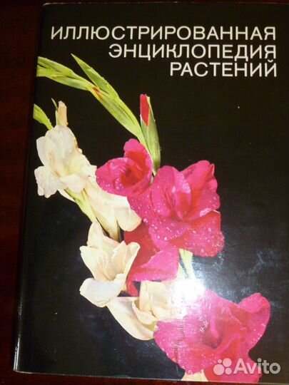 Иллюстрированная энциклопедия растений