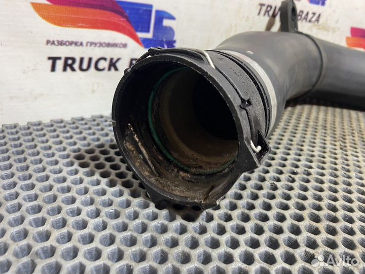 1653077 Патрубок радиатора Daf XF105