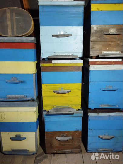 Ульи Дадан 12 рамочные с магазином