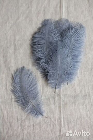 Перья страуса 10 шт