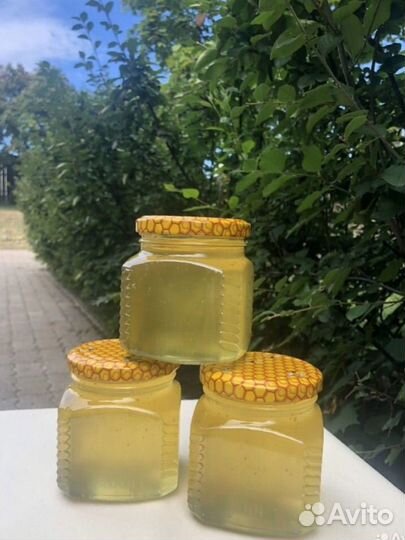 Мед акация