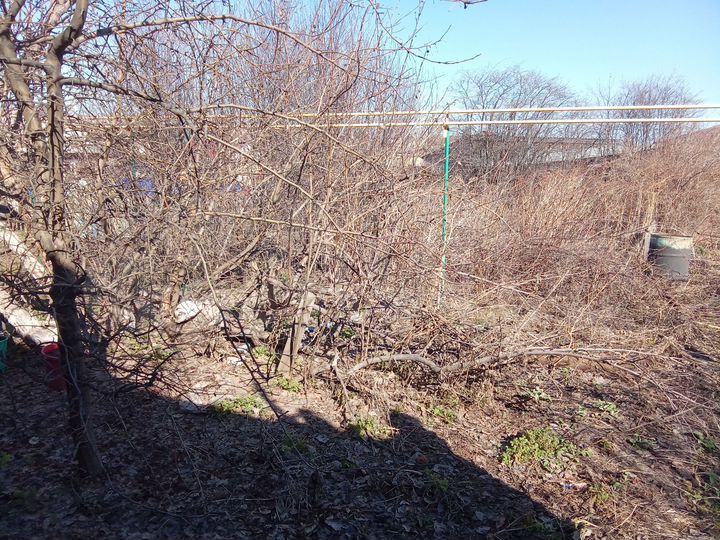 Дом 46 м² на участке 3 сот.