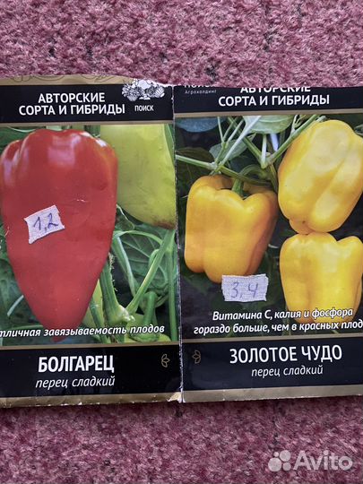 Перцы рассада