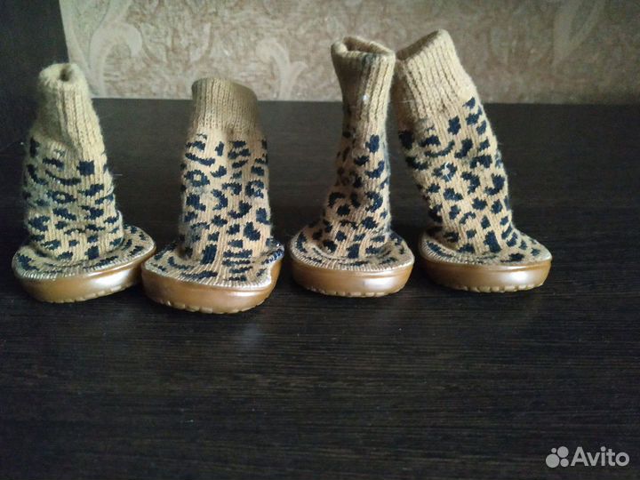 Ботинки для мелких пород собак