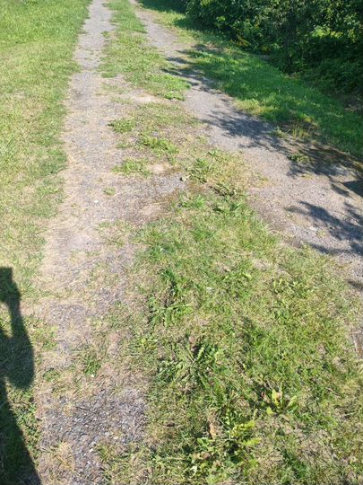 Дача 57 м² на участке 6 сот.