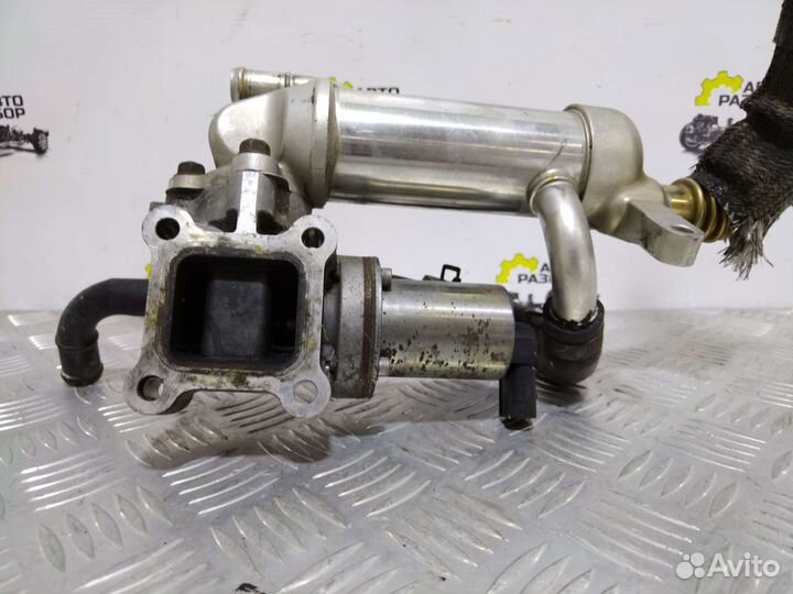 Хендай гранд Старекс. Система егр