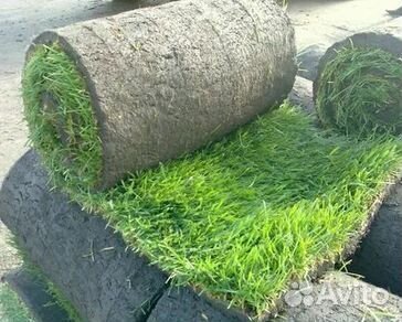 Гидропосев