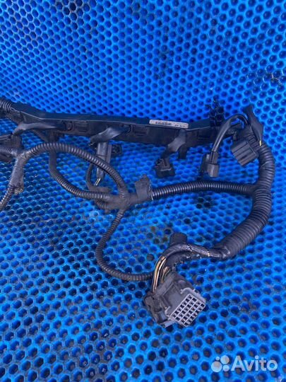 Проводка форсунок Ford Focus 1 2.0 split port