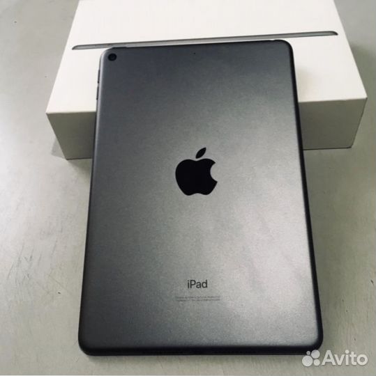 iPad mini 5 256 LTE Gray